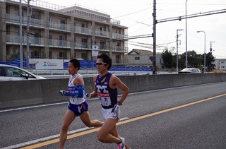 IMGP0128.jpg